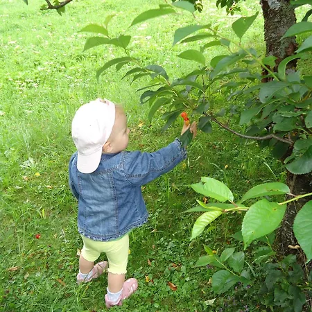 בית הארחה Josefinenhof ניוסטיפט אים סטובאיטל