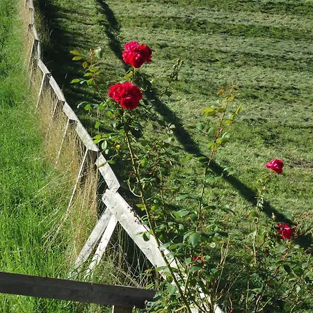 Gasthuis Josefinenhof 3*